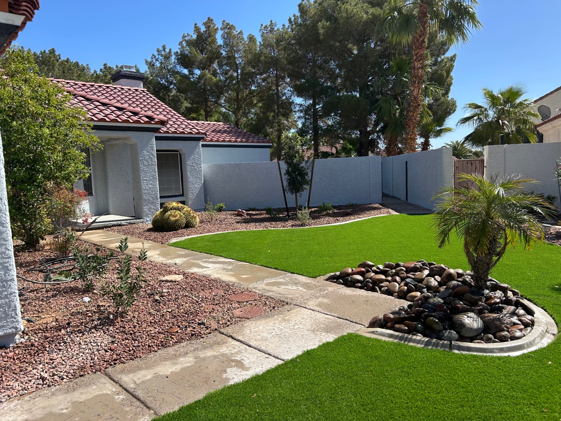 Front yard blending desert stone beds, palms, and fresh turf