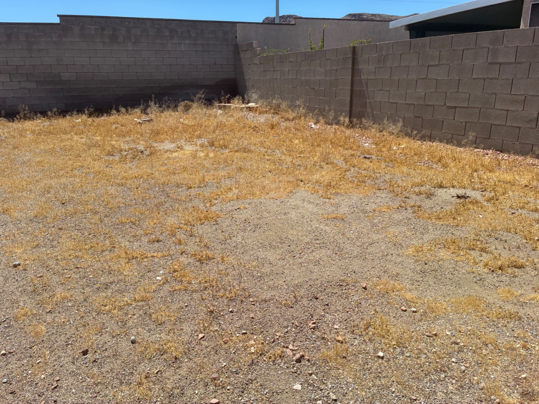 Wide view of a dirt backyard with a block wall and desert mountains in the distance