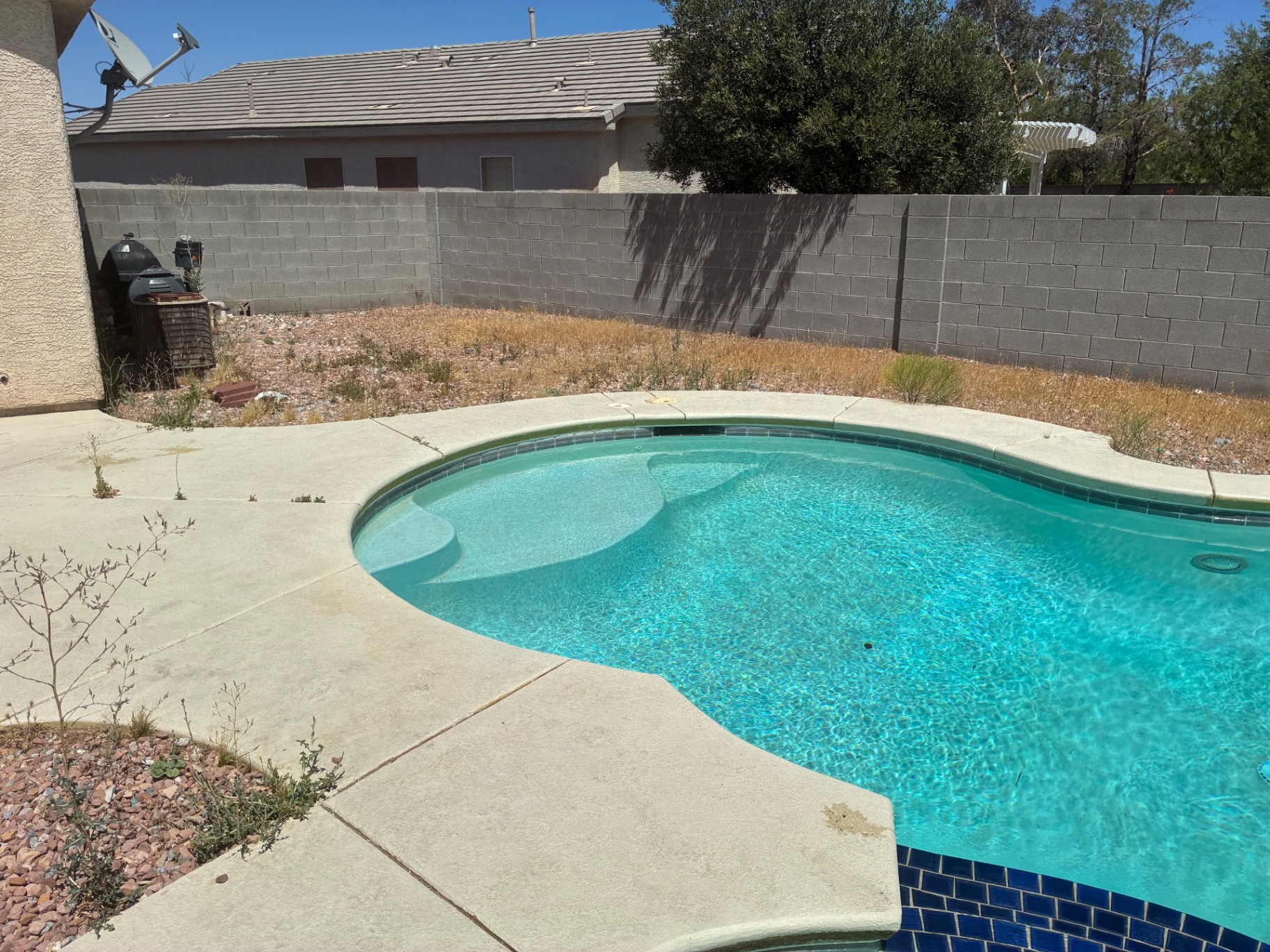 Pool area with overgrown brush and an outdoor grill on the concrete patio